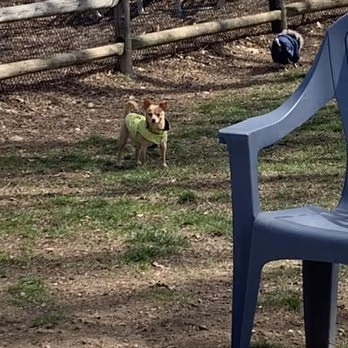 Stamford Dog Park photo 2